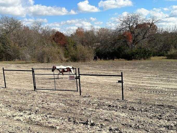 Fencing Contractor in Sherman TX