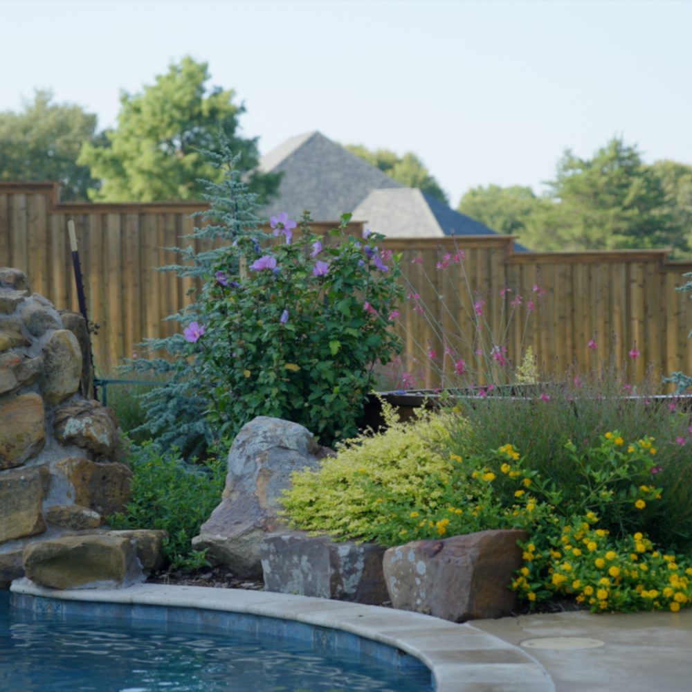 Backyard Fence